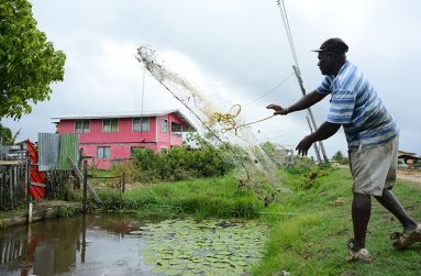 Steve Josiah throwing his cast net (Samuel Maughn Photos)