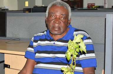 Laurie Greenidge
