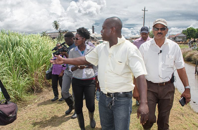 Manager of the Uitvlugt Estate Yudhisthira Mana (far right) and Agronomist Andrew Bourne (second from right) led the tour of GuySuCo officials and the media on Thursday