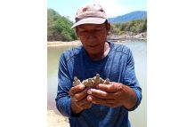 The South Rupununi Conservation Society (SRCS) lead an impactful programme in Sand Creek village focused on protecting the Yellow Spotted River Turtle (Source: The South Rupununi Conservation Society SRCS, Facebook)