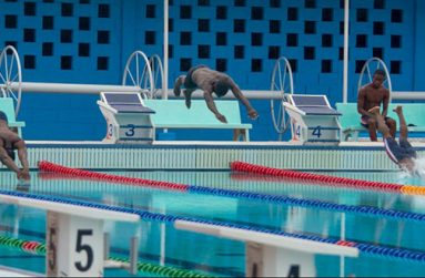 Some of the action in yesterday’s swimming championships