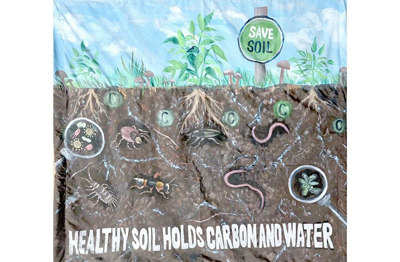 Save Soil underscores importance of soil for food, water security ...