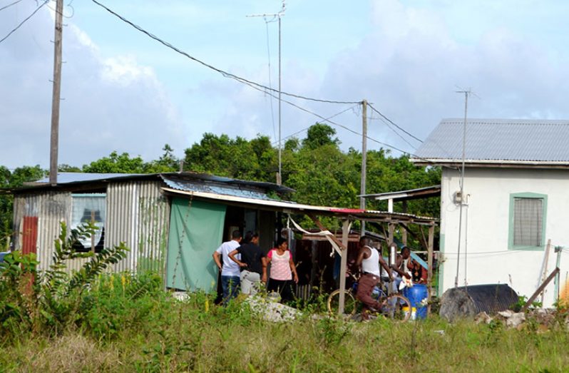 Police ranks assisted by neighbours re-pack articles which had been removed from the Belle West home, hours after they had come up empty-handed in their search efforts