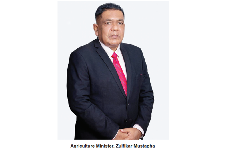 Screenshot 2025-12-28 215847