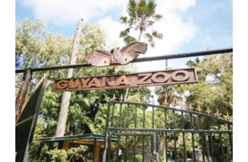 The Guyana Zoological Park and Botanical Gardens is located on Vlissengen Road in Georgetown