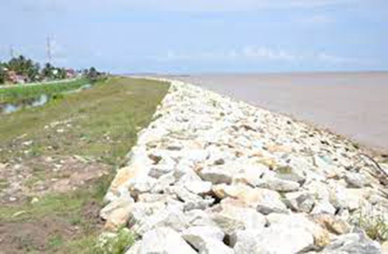 Riprap structures at Windsor Forest