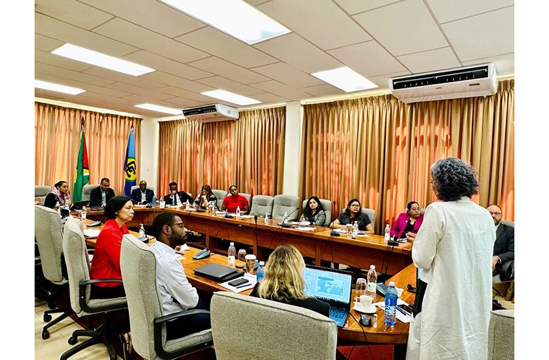 The two-day training, facilitated by the Security Council Report, is designed to enhance the capacity of the Guyana team and shed light on procedural and thematic aspects of the Security Council