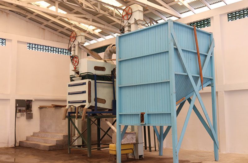 A section of the inside the GRDB seed paddy facility