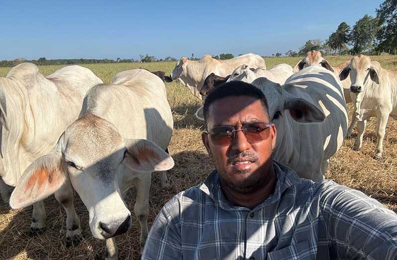 Cattle farmer, Seenarine Nandram