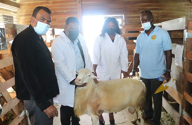 Minister Mustapha and other ministry officials with one of the animals procured for the AI programme