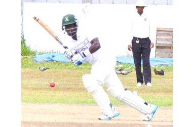 Shemroy Barrington scored 102 for Malteenoes on his home ground against GCC.