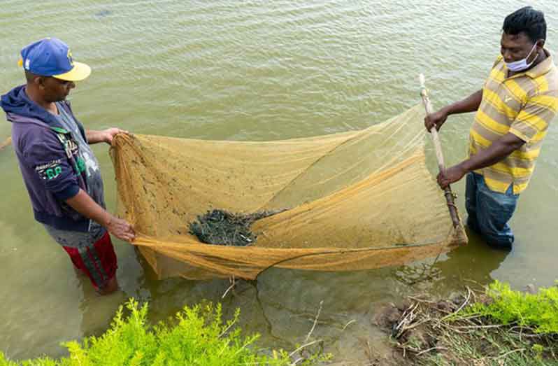 Shrimp farmers from Region Six