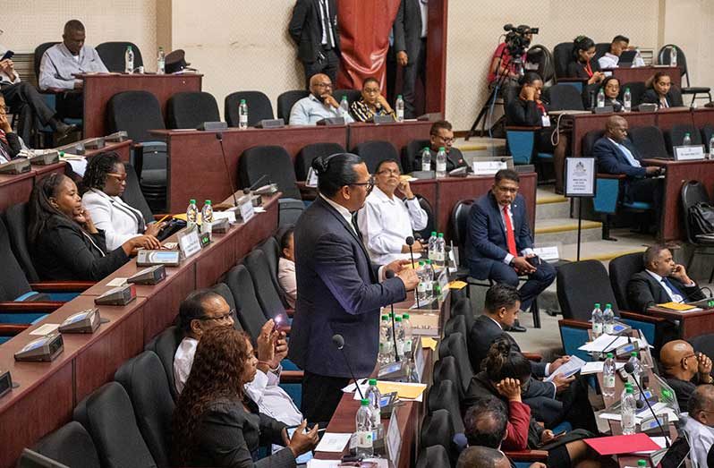 MP Lenox Shuman making his contribution to the debate on Monday (Elton John photo)