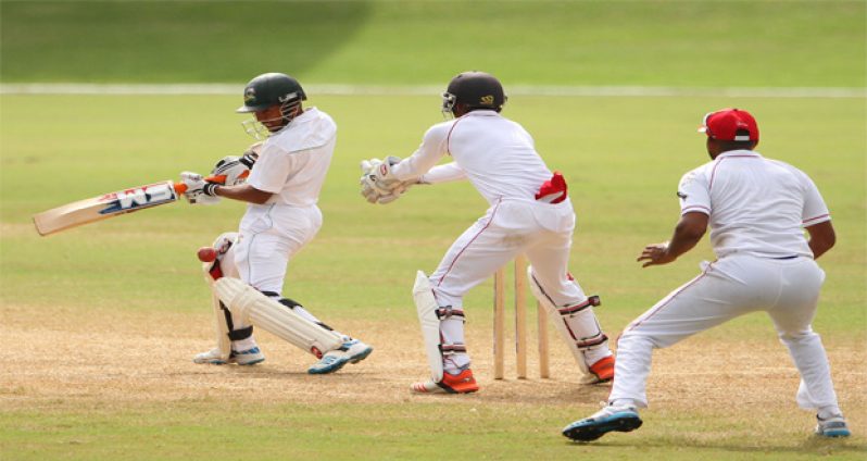 Vishual Singh cuts during his unbeaten 88.