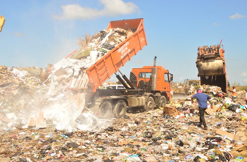 The management of the landfill site has been working to ensure that the standard is maintained and that garbage is properly disposed of (Adrian Narine photo)