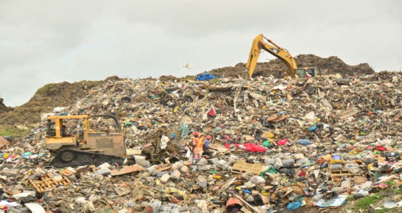 A section of the Haags Bosch sanitary landfill