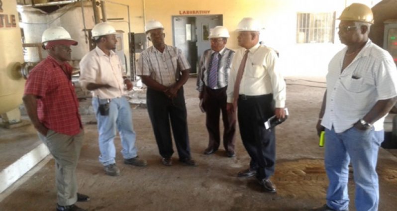 Members of the Skeldon Energy Inc. Board meet with officials of GuySuCo and Wartsila at the Skeldon Co–Generation Plant