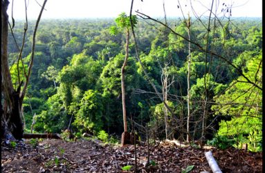 A steep slope at the edge of Skull Point leads to a savannah feature which stretches out to the Mabaruma Creek. Further north takes one to the Waini Coastline off the Atlantic Ocean.