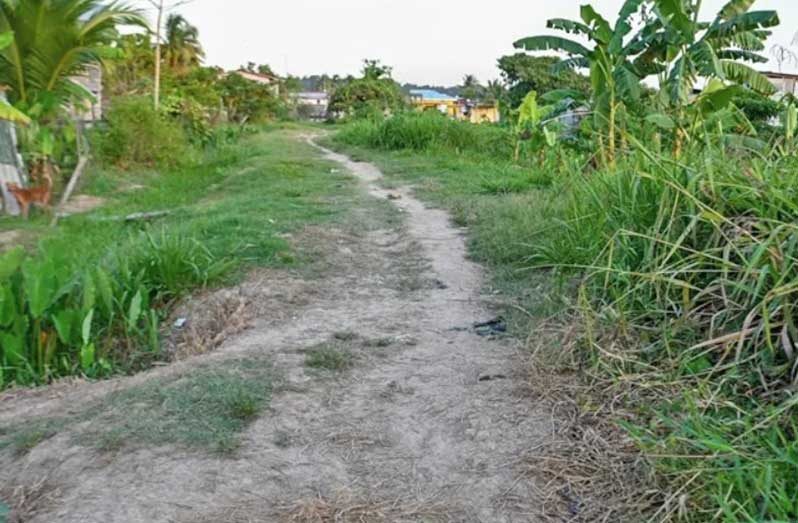 The community of Skull City located at Patentia, West Bank Demerara is set for a significant transformation with $91 million being invested in upgrading the mud dam into a concrete road