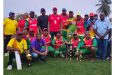 Softball Cup