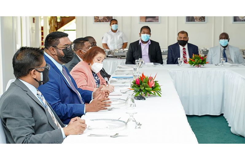 President, Dr Irfaan Ali makes a point during his meeting with the members of the small political parties of Guyana (Public Information and Press Services Unit)