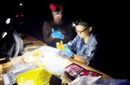 Dr. Arianne Harris and Ms. Huichang Yang processing mammal specimens (Nigel Pitman photo)