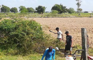 The Good Hope Ground being rehabilitated
