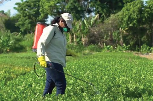 A farmer tending to his crops
