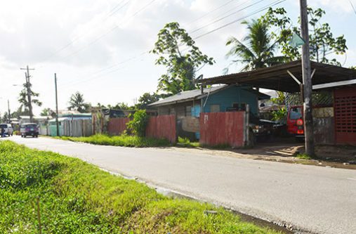 File photo: Houses erected by squatters along West Ruimveldt Front Road, Georgetown