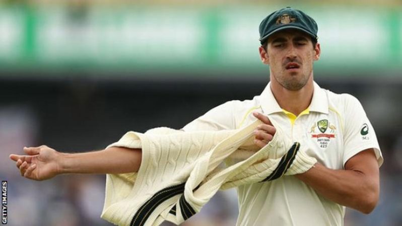Mitchell Starc has taken the most wickets in this Ashes series so far with 19