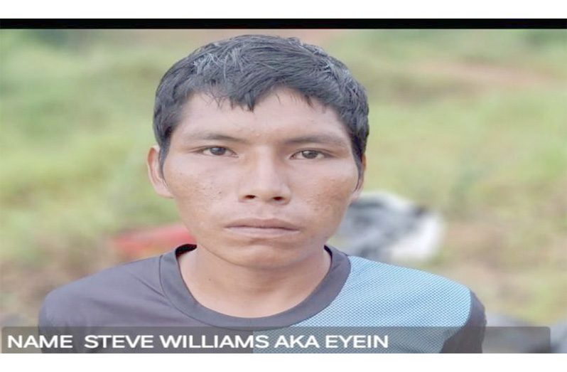 Steve Williams