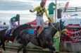 Stolen Money is ranked second among Guyana top 10 horses