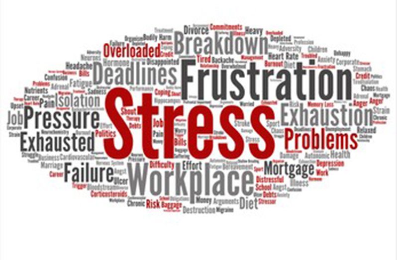 Photo courtesy of Shutterstock.com