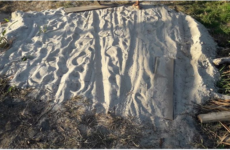 The Success squatters have restarted construction on the GuySuCo lands and have been transporting building materials once again