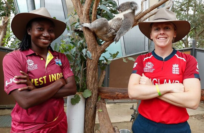 DRS will be available for the five T20Is between England and West Indies Getty Images