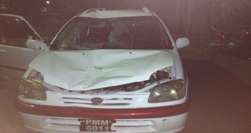 The car which was under the control of the errant driver