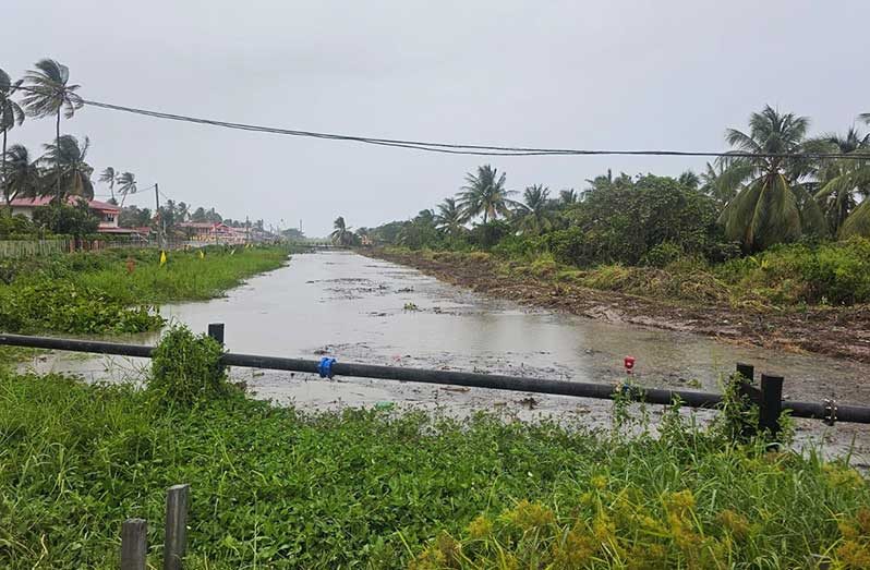 More than 100 residents and farmers of Tain, Corentyne, are now benefitting from improved drainage following a swift intervention by Minister of Agriculture, Zulfikar Mustapha, to have the main canal cleared