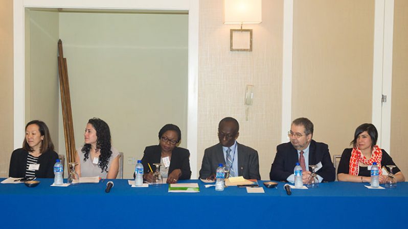 Deputy Chief Medical Officer, Dr. Karen Boyle (third from left) and PAHO/WHO Country Representative, Dr. William Adu-Krow (third from right) seated among members of the high-level technical team here in Guyana to track the country’s progress in eliminating Lymphatic Filariasis