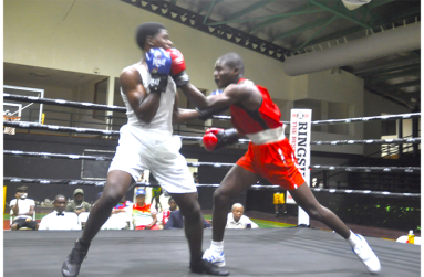 Cuban Li Kiam Amores lands a left uppercut to the
chin of Berbician Terron Wintz (Sean Devers photos)