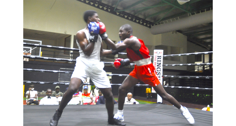 Terrron Cuban Li Kiam Amores lands a left uppercut to the
chin of Berbician Terron Wintz (Sean Devers photos)