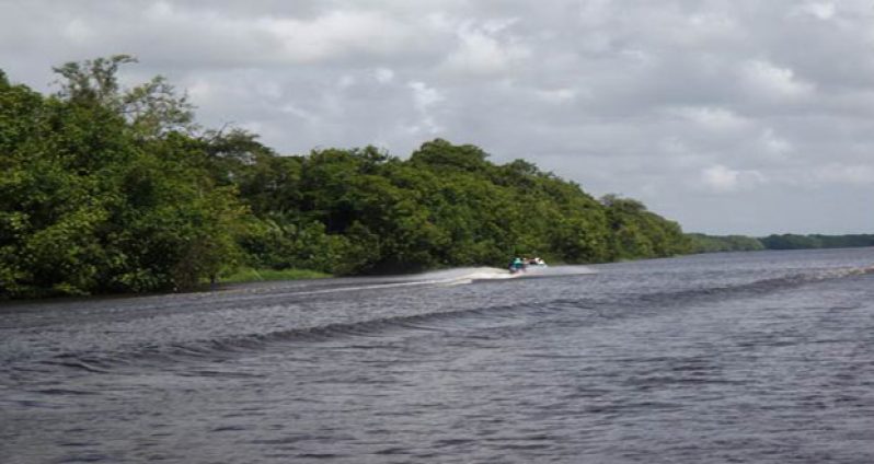 The-Pomeroon-river