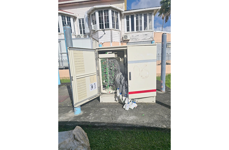Vandalism in Queenstown