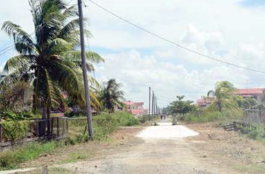 One of the many streets in Experiment Village