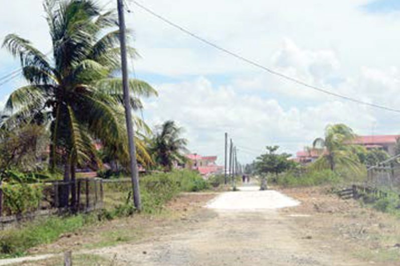 One of the many streets in Experiment Village