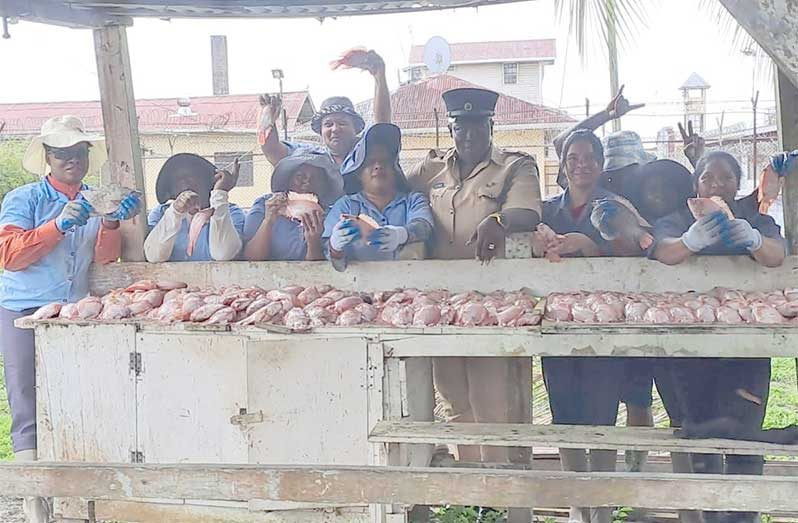 The tilapia hatchery at the Timehri Prison continues to yield impressive results