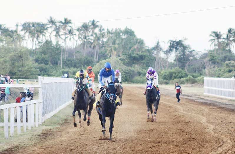 The Port Mourant Turf Club track stood firm despite heavy rainfall