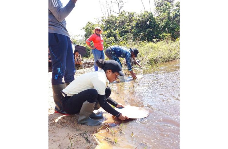 Participants from the University of Guyana during the hands-on training session hosted by the Guyana Mining School