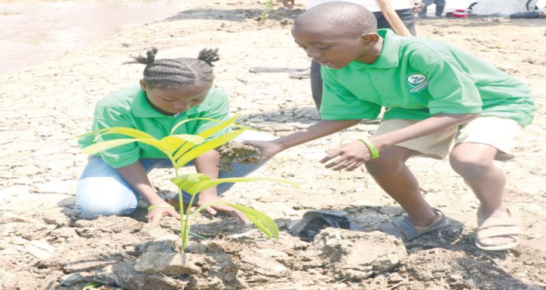 Children participating in the tree-planting exercise