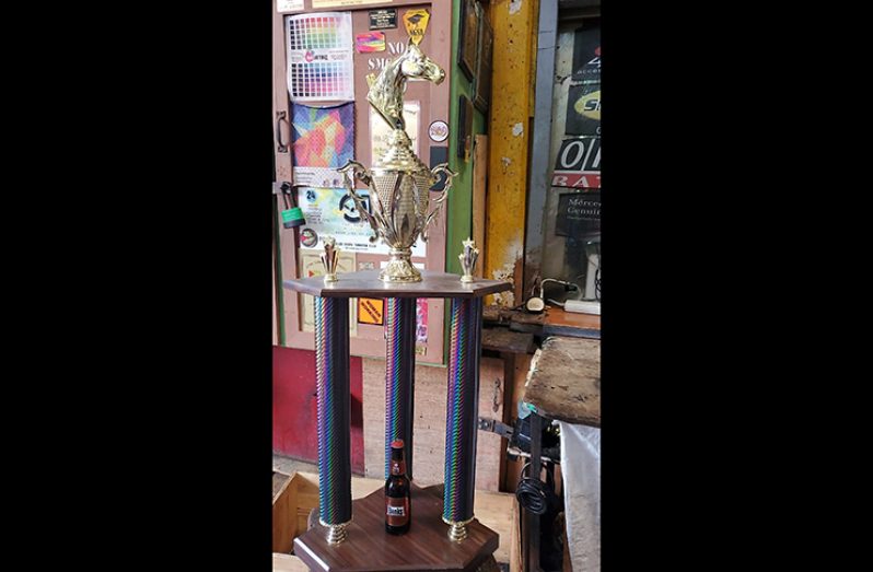 One of the trophies presented by Trophy Stall for the Rising Sun horse race meet.