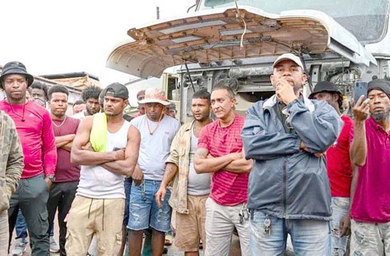 The government has taken steps to address concerns amid ongoing protests by truckers over job losses and unfair competition, reassuring the affected operators that a level playing field will govern the trade
